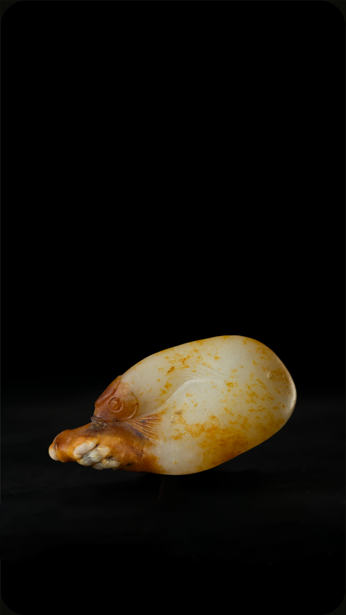 broken image